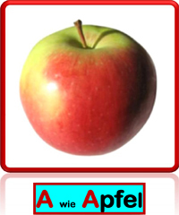 Apfel