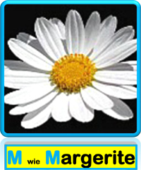 Margerite