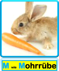 Mohrrübe
