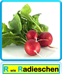 Radieschen