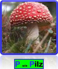 Pilz