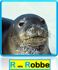 Robbe