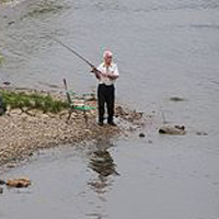 Angler