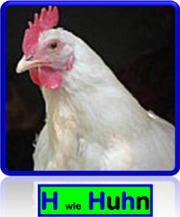 Huhn