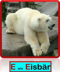 Eisbaer