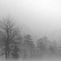 Nebel