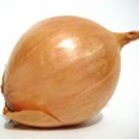 Zwiebel