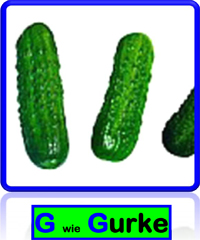 Gurke
