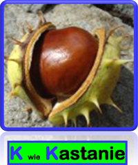 Kastanie