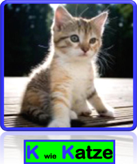 Katze
