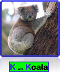Koala