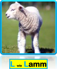 Lamm