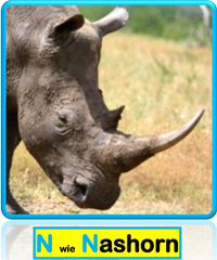 Nashorn