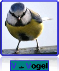 Vogel