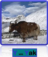 Yak